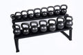 Ader Sporting Goods Premier Kettlebell Set with Kettlebell Rack and Dvd (5,10,15,20,25,30,35,40,45,50, 60Lb)